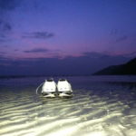 IMG_1278 IMG_1278